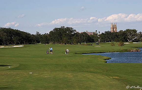 Audubon GC #9