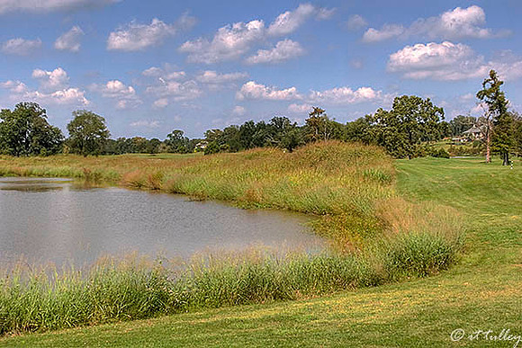Olde Oaks Meadow #9