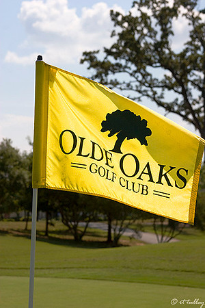 Olde Oaks Flag
