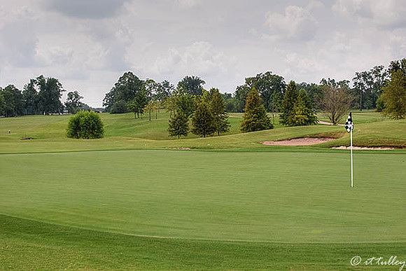 Oakwing GC #18