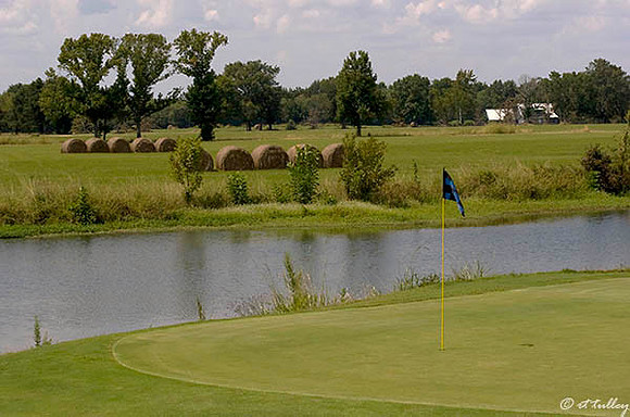 Black Bear GC #3