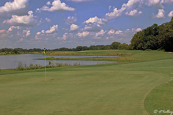 Black Bear GC #4