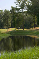 Olde Oaks Cypress #2