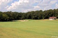 Black Bear GC #1