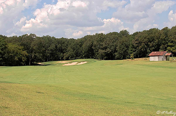Black Bear GC #1