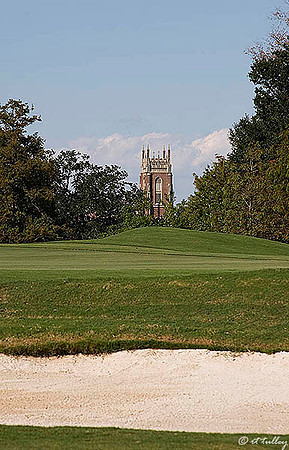 Audubon GC #6 Green