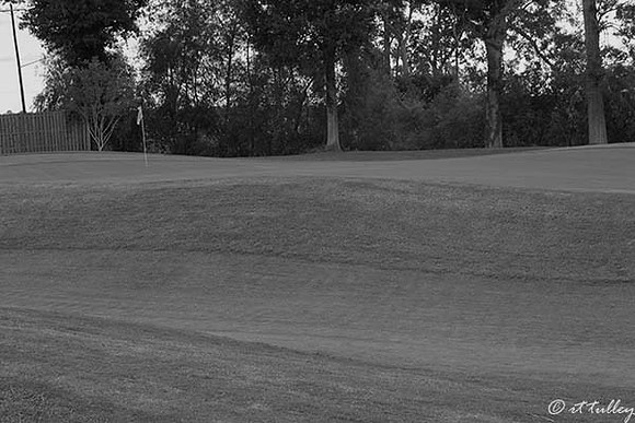 the Island #13 B/W