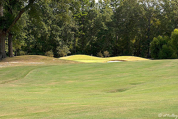 Olde Oaks Cypress #2