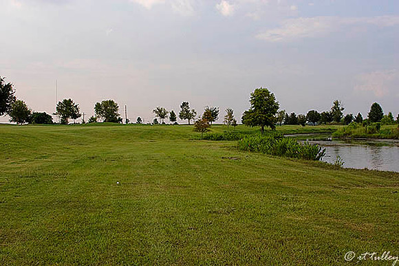 the Island #18