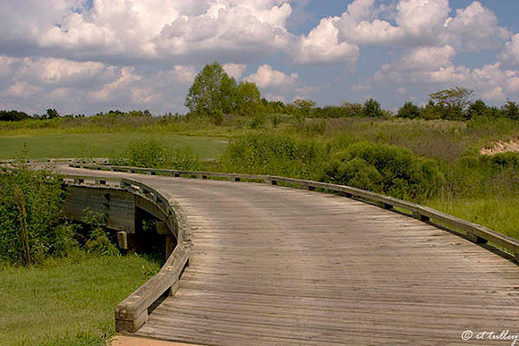Black Bear GC Cart Bridge from #6 green to #7 tee