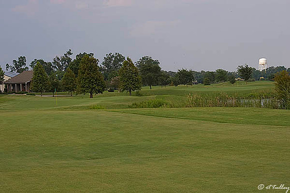 the Island #18