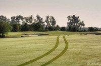 Oakwing GC #3