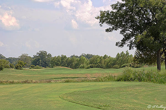 Olde Oaks Meadow #2