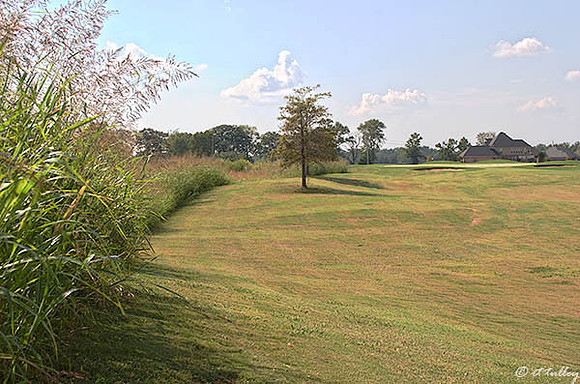 Olde Oaks Meadow #5