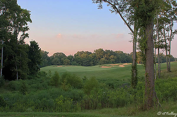 Black Bear GC #9