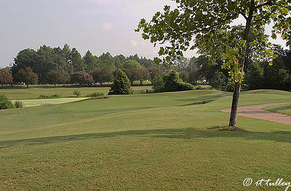 Oakwing GC #8