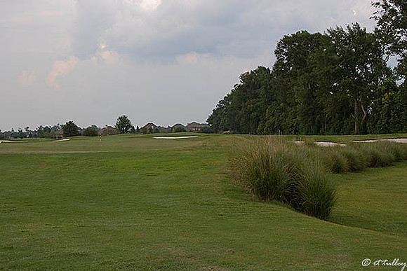the Island #15