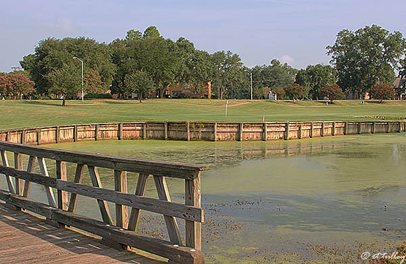 Oakwing GC #7