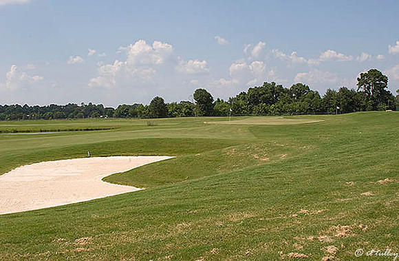 the Wetlands #9