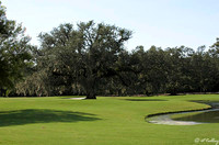 Audubon GC #5