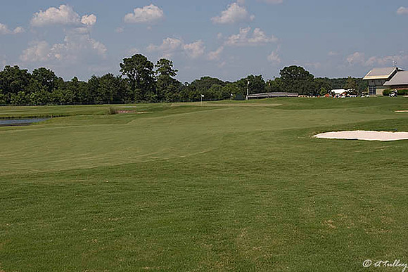 the Wetlands #9