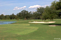 Audubon GC #4