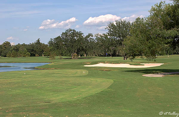 Audubon GC #4