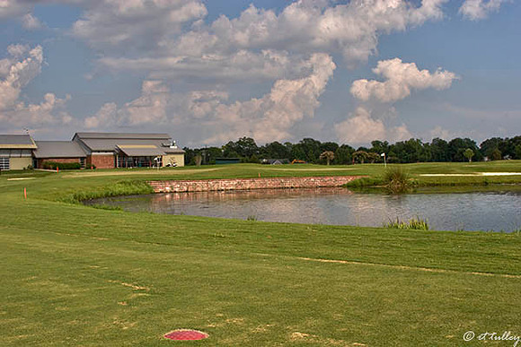 the Wetlands #18