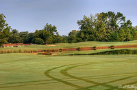 Oakwing GC #3