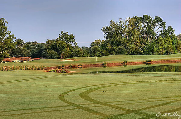 Oakwing GC #3