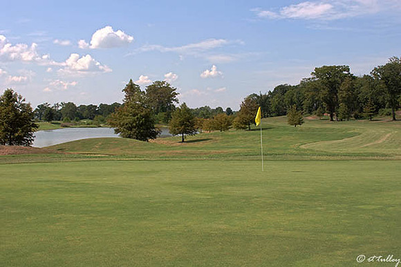 Olde Oaks Cypress #9