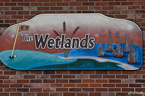 the Wetlands Sign