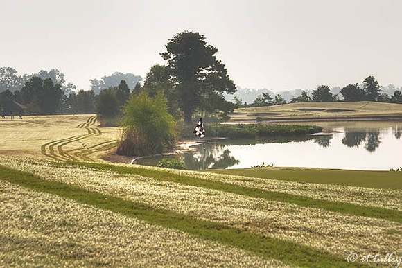 Oakwing GC #4