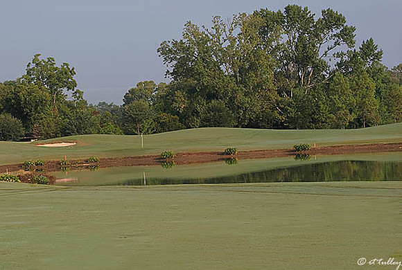 Oakwing GC #3