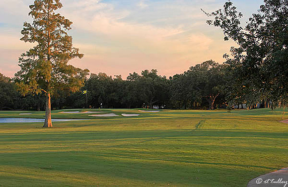 Audubon GC #18