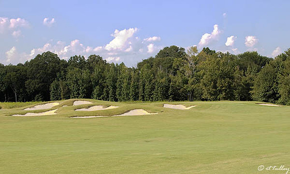 Black Bear GC #12