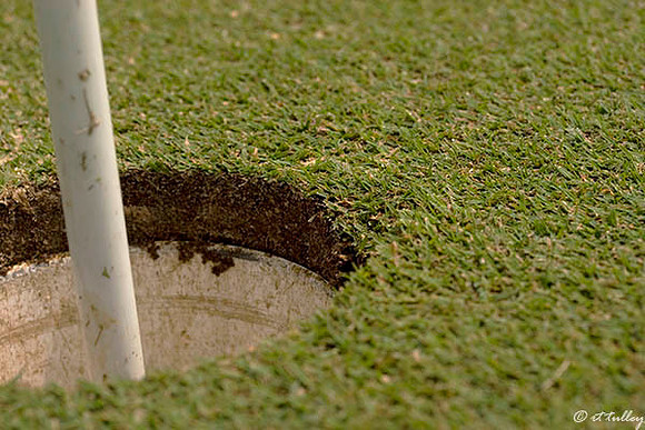 Olde Oaks Cypress #6