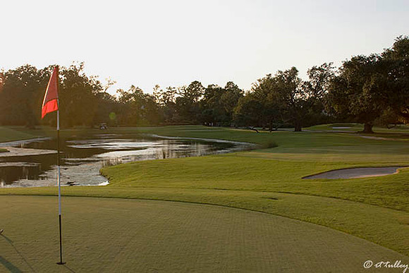 Audubon GC #17