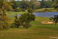 Olde Oaks Cypress #1