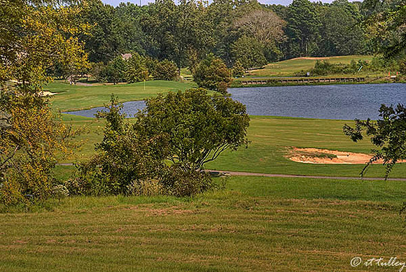 Olde Oaks Cypress #1