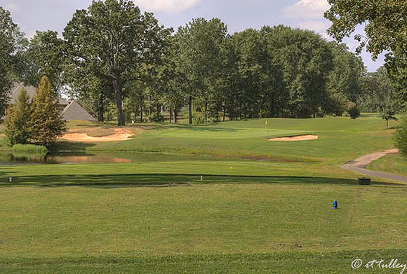 Olde Oaks Cypress #4