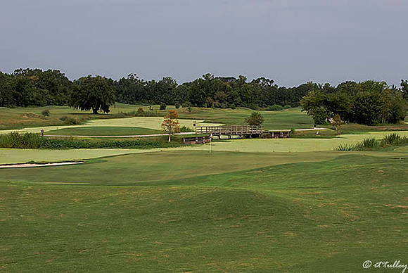 Atchafalaya #9 Green