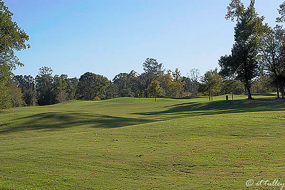 Tamahka Trails #5 green