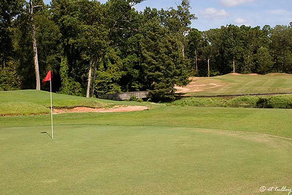 Cypress Bend #16