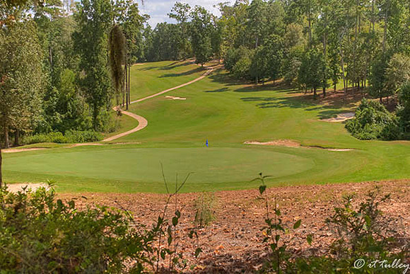 Cypress Bend #12