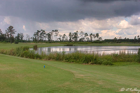 Gray Plantation #16