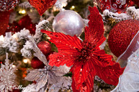 December 18