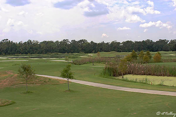 Atchafalaya #13 tee