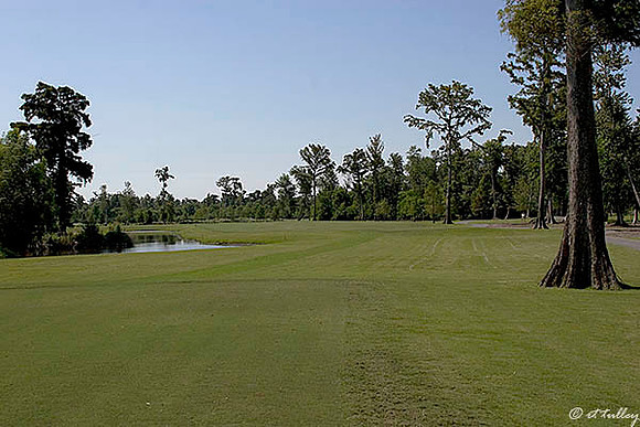 TPC Louisiana #6