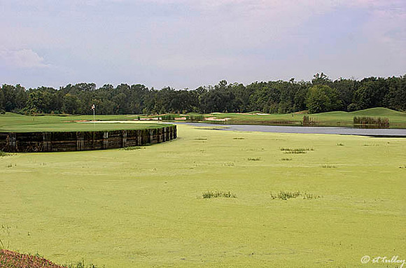 Atchafalaya #4